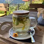 B-lodge Kaernten Prázdninový dům