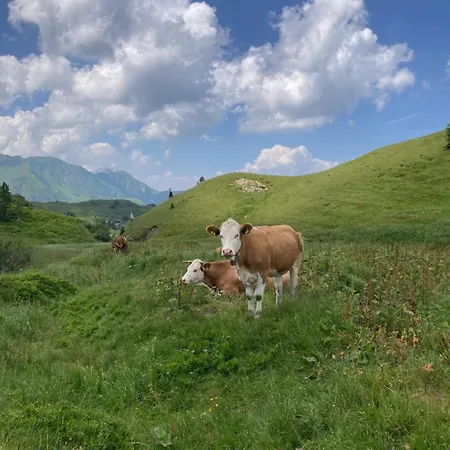 בית נופש B-lodge Kaernten Kirchbach (Carinthia)