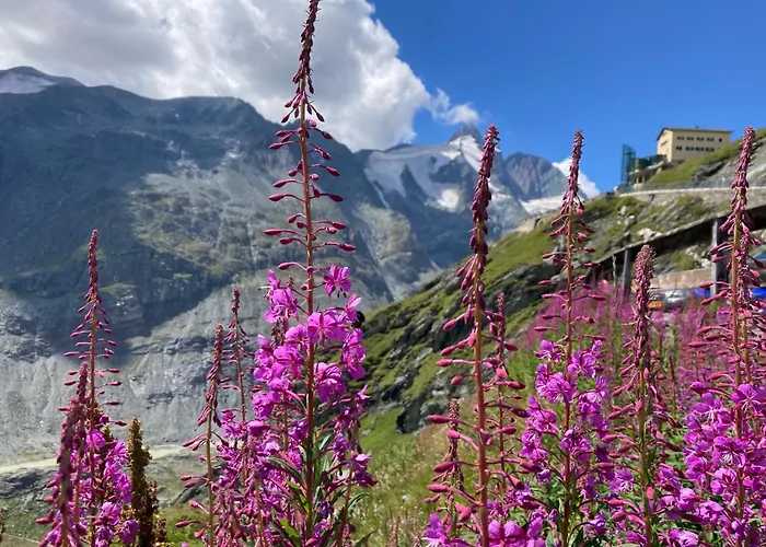 B-lodge Kaernten Kirchbach (Carinthia)