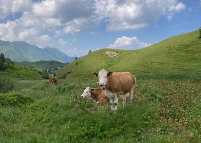 בית נופש B-lodge Kaernten Kirchbach (Carinthia)